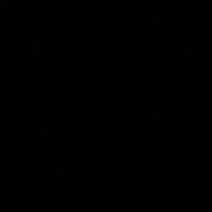 Meet your Posher, Sal